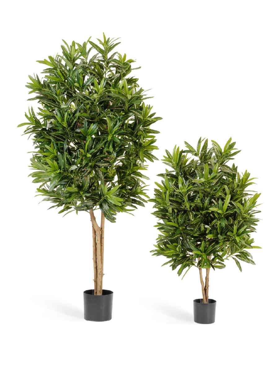 10.37403N Искусственное дерево Кротон Голдфингер, Treez 10.37405N — изображение 1