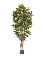 Искусственное дерево Кротон, Treez 10.37605N — изображение 2