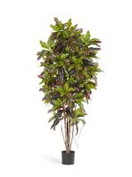 Искусственное дерево Кротон, Treez 10.37605N — изображение 3