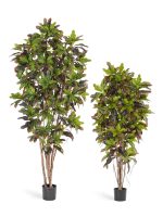 Искусственное дерево Кротон, Treez 10.37605N