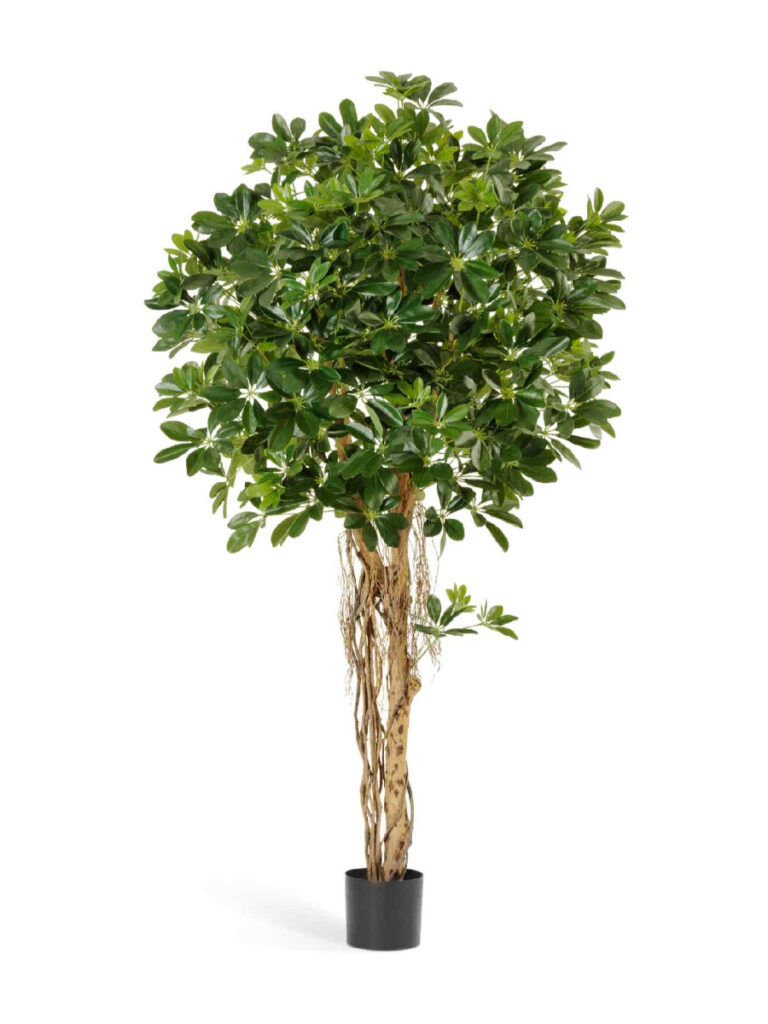 Искусственное дерево Шеффлера зонтичная зелёная