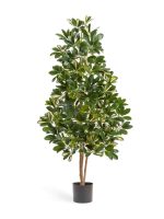 Искусственное дерево Шеффлера натуральная пёстрая, Treez 10.38506NW