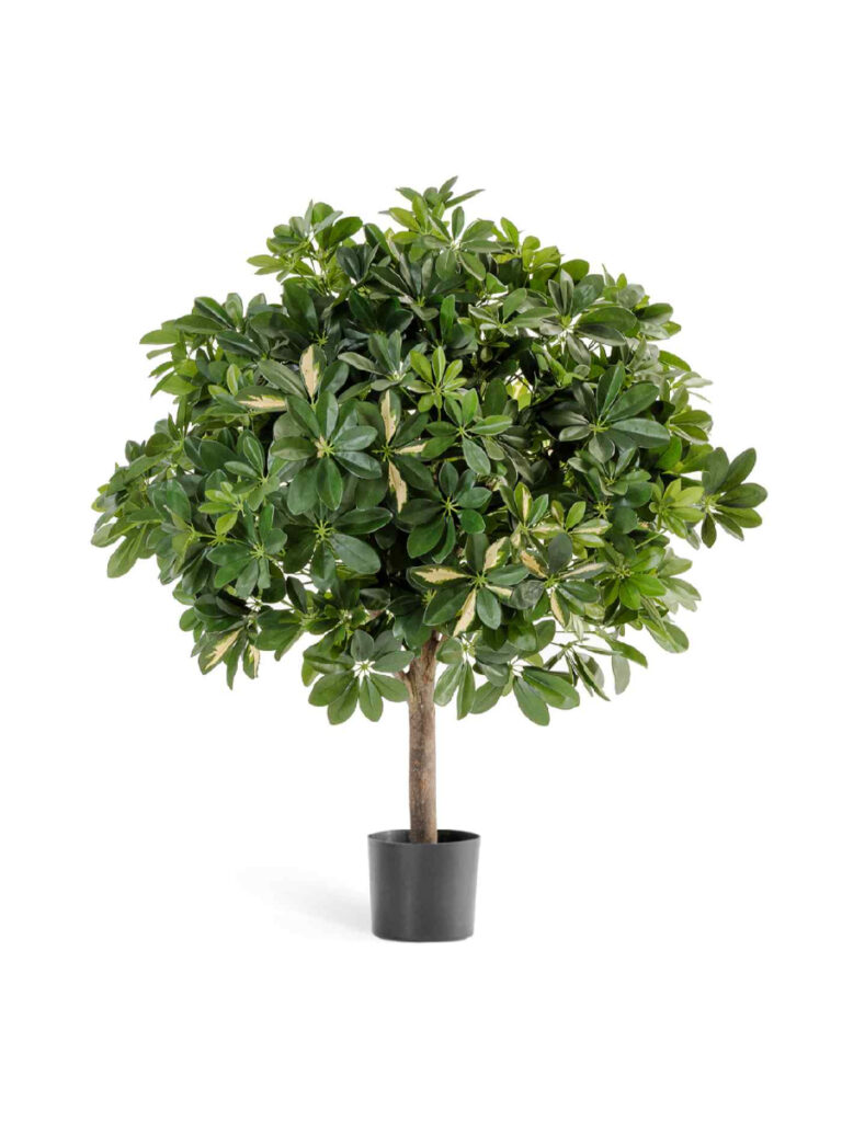 Искусственное дерево Шеффлера гигантский шар пёстрая 110 см