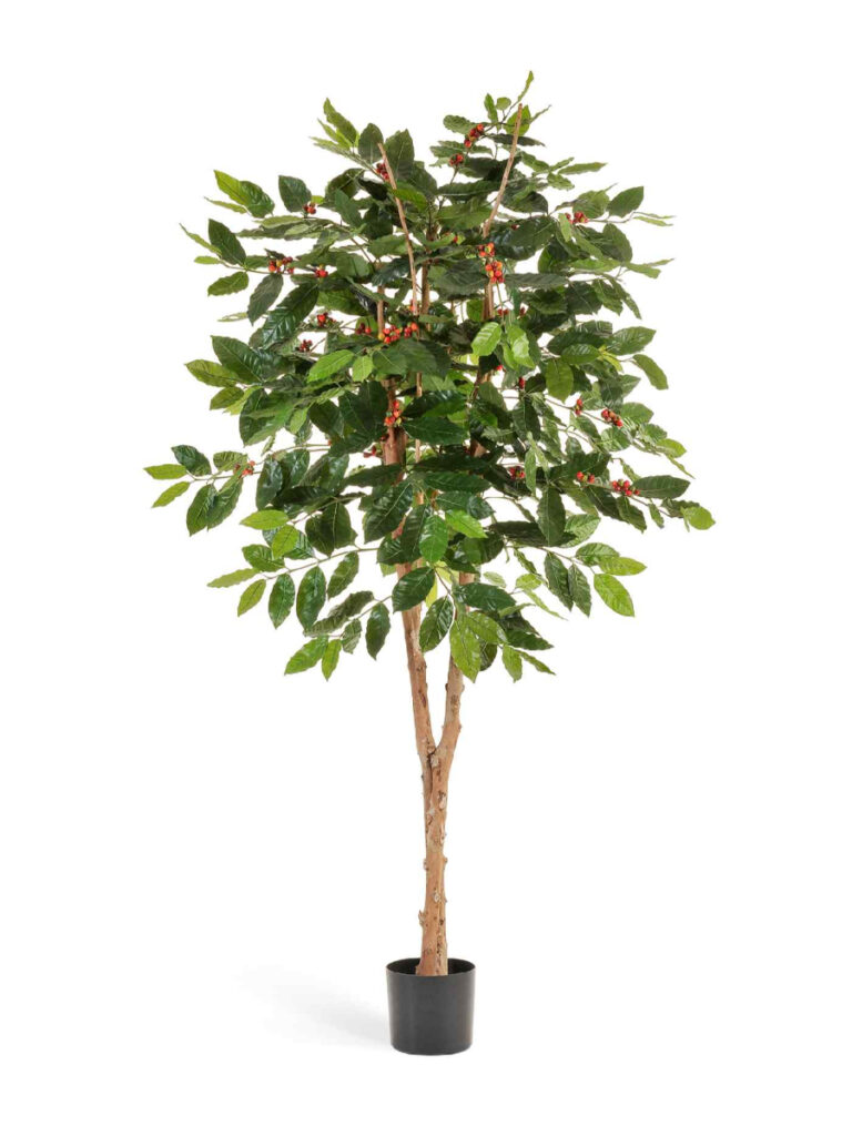 Искусственное дерево Кофейное дерево с плодами