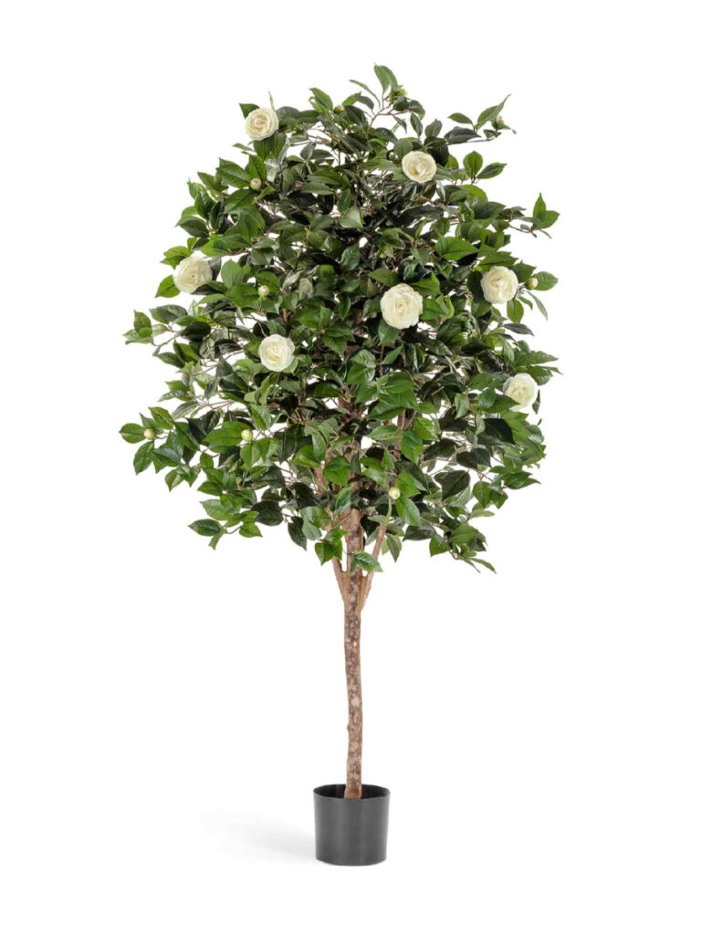 Искусственное дерево Камелия Вайн кремовая