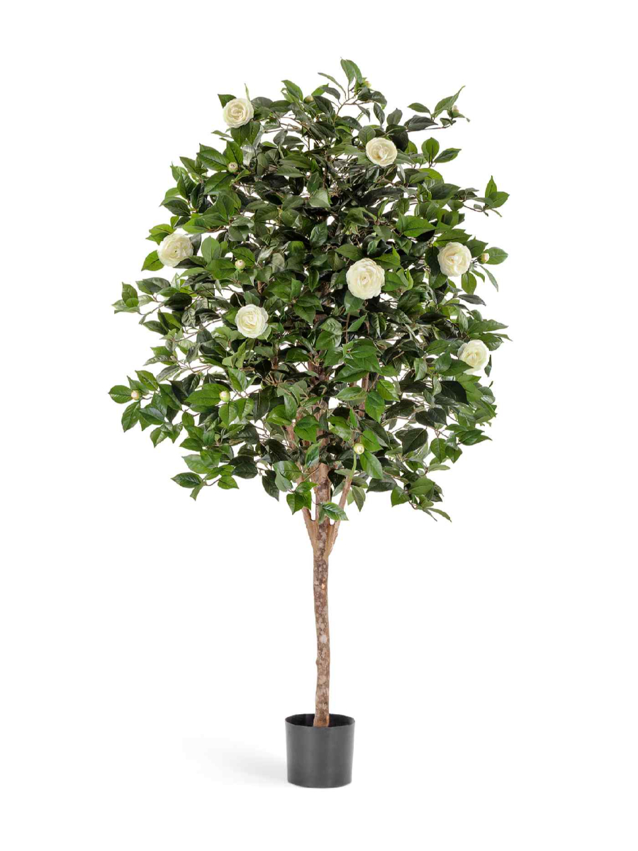 Искусственное дерево Камелия Вайн кремовая Искусственное дерево Камелия Вайн кремовая