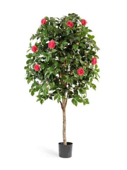 Искусственное дерево Камелия Вайн тёмно-розовая