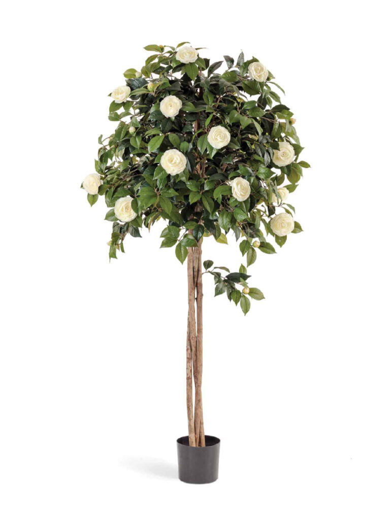 Искусственное дерево Камелия на штамбе кремовая