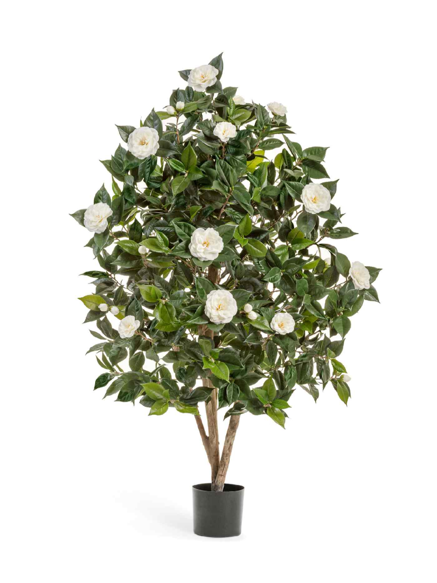 Искусственное дерево Камелия Японика кремовая Искусственное дерево Камелия Японика кремовая