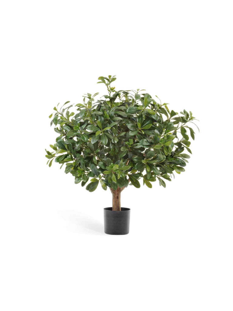 Искусственное дерево Питтоспорум шар