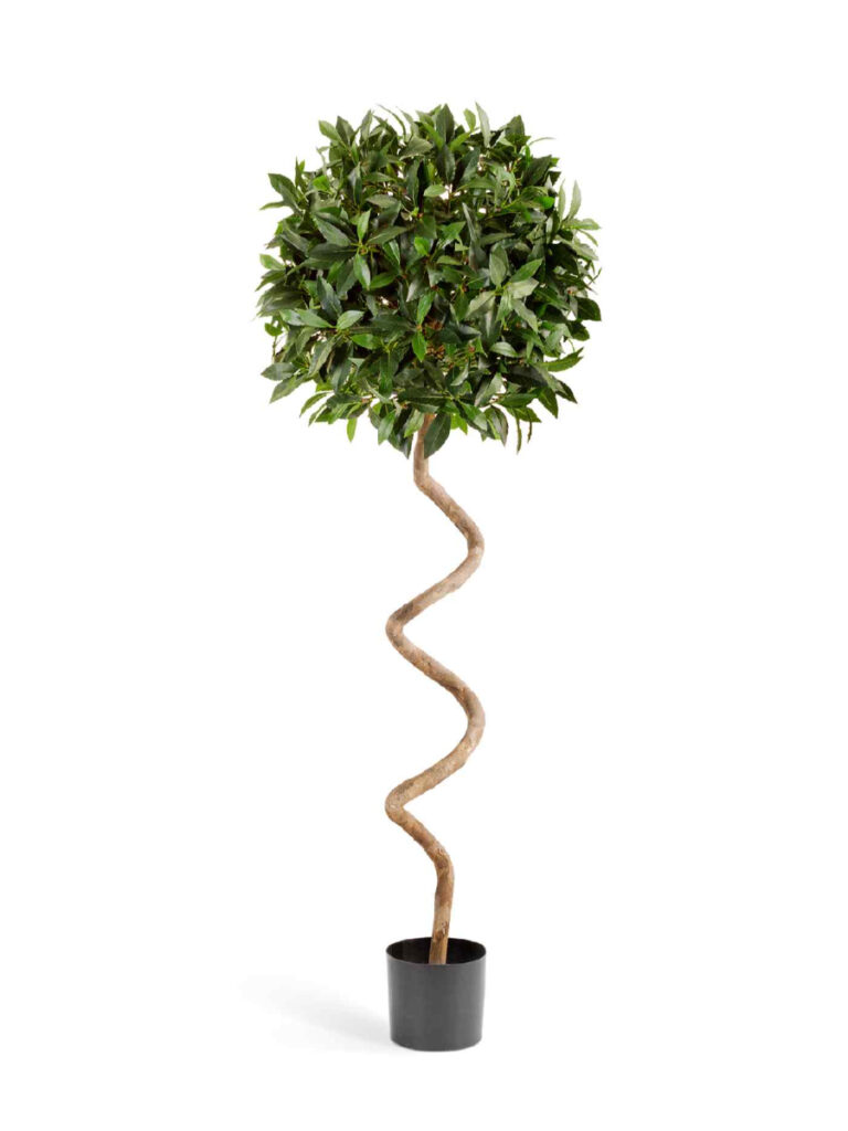Искусственное дерево Лавр шар спираль в-150 см д-50 см