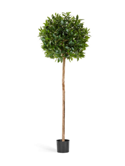 Искусственное дерево Лавр круглый на высоком стволе