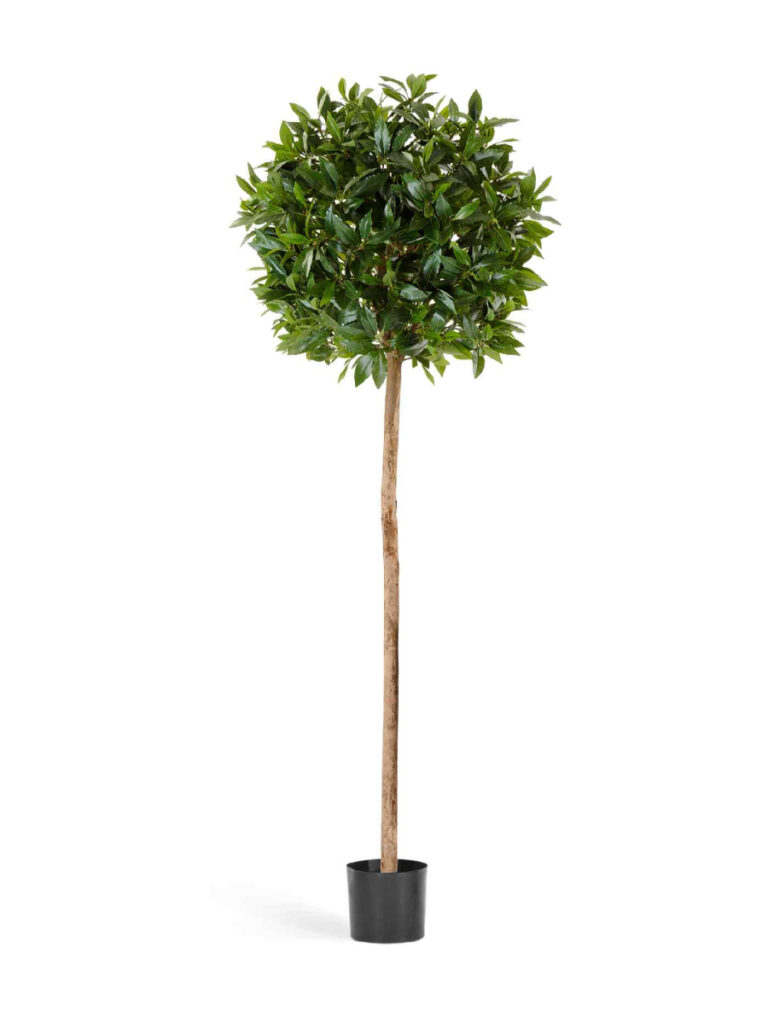 Искусственное дерево Лавр круглый на высоком стволе