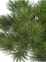 Искусственное дерево Бонсай стелющийся Сосна Японская белая Негиши в керамическом кашпо, Treez 10.46102N — изображение 3