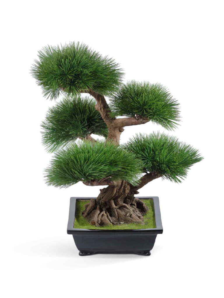 Искусственное дерево Бонсай Сосна Элит в керамическом кашпо