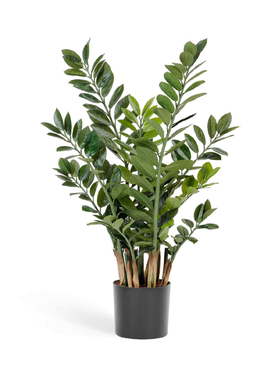 Искусственное растение Замиокулькас кустовой Искусственное растение Замиокулькас кустовой