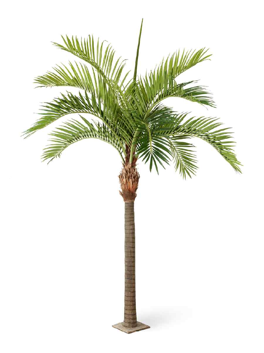 10.46842N_10.46848N Искусственное дерево Финиковая пальма Гигантская, Treez 10.46848N — изображение 1