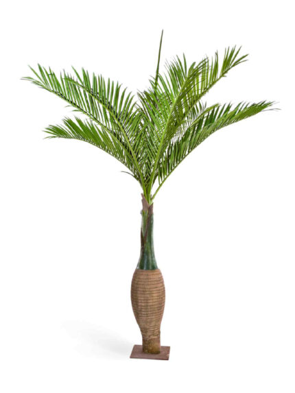 Искусственное дерево Пальма Бутылочная Гигантская