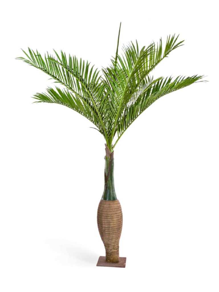 Искусственное дерево Пальма Бутылочная Гигантская