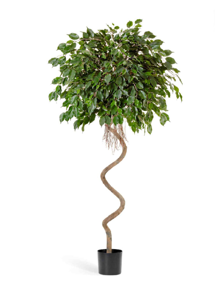 Искусственное дерево Фикус Бенджамина спираль