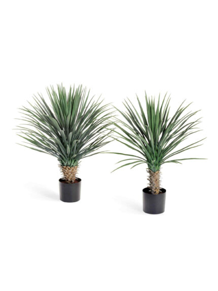 Искусственное дерево Юкка Рострата куст