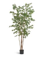 Искусственное дерево Лесная чёрная олива Ориентал, Treez 10.48107N