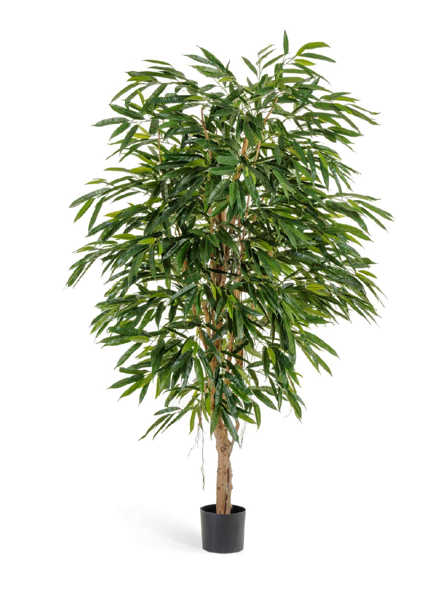 Искусственное дерево Лонгифолия Роял Искусственное дерево Лонгифолия Роял