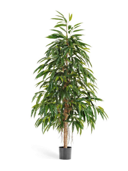 Искусственное дерево Лонгифолия Роял Нэйчерел