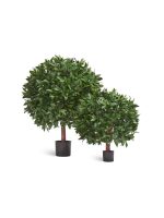 Искусственное дерево Лавр круглый с UV-фильтром уличный, Treez 10.49050UV — изображение 2