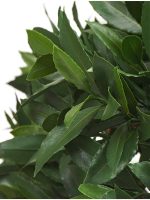 Искусственное дерево Лавр круглый с UV-фильтром уличный, Treez 10.49050UV — изображение 5