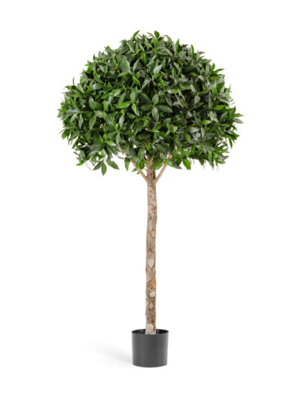 Искусственное дерево Лавр шар Максима в-170 см