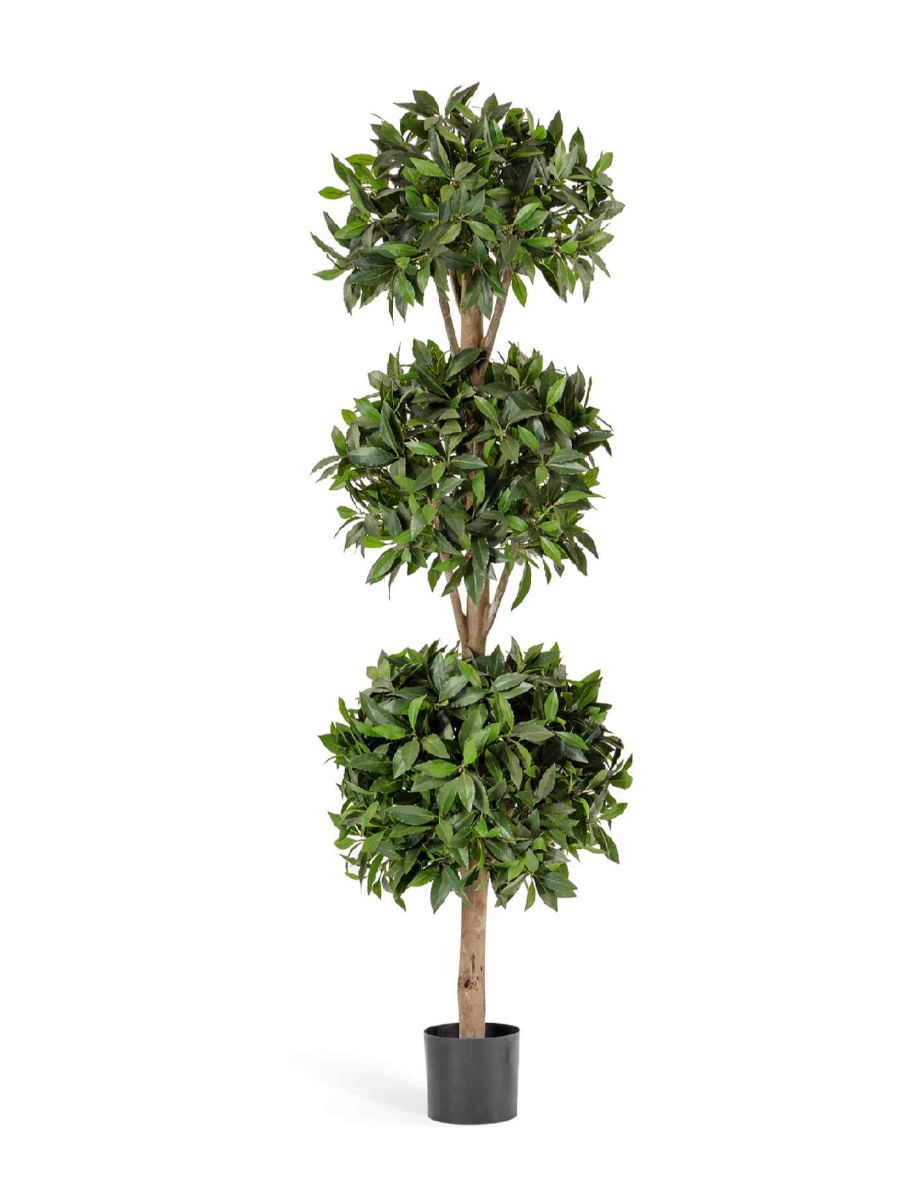 Искусственное дерево Лавр шар тройной 180 см Искусственное дерево Лавр шар тройной 180 см