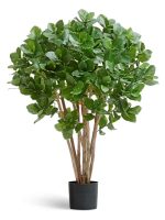 Искусственное дерево Клузия древовидная, Treez 10.51304N