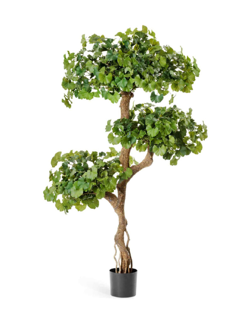 Искусственное дерево Гинкго на забавном стволе 145 см