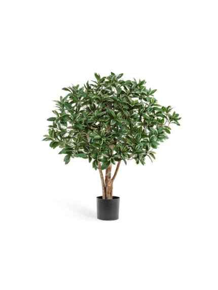 Искусственное дерево Эонимус (Бересклет) Японский