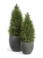 Искусственное дерево Кипарис Тауэр уличный, Treez 10.56005N — изображение 4