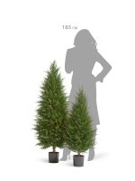Искусственное дерево Кипарис Тауэр Элегант уличный, Treez 10.56106N — изображение 4