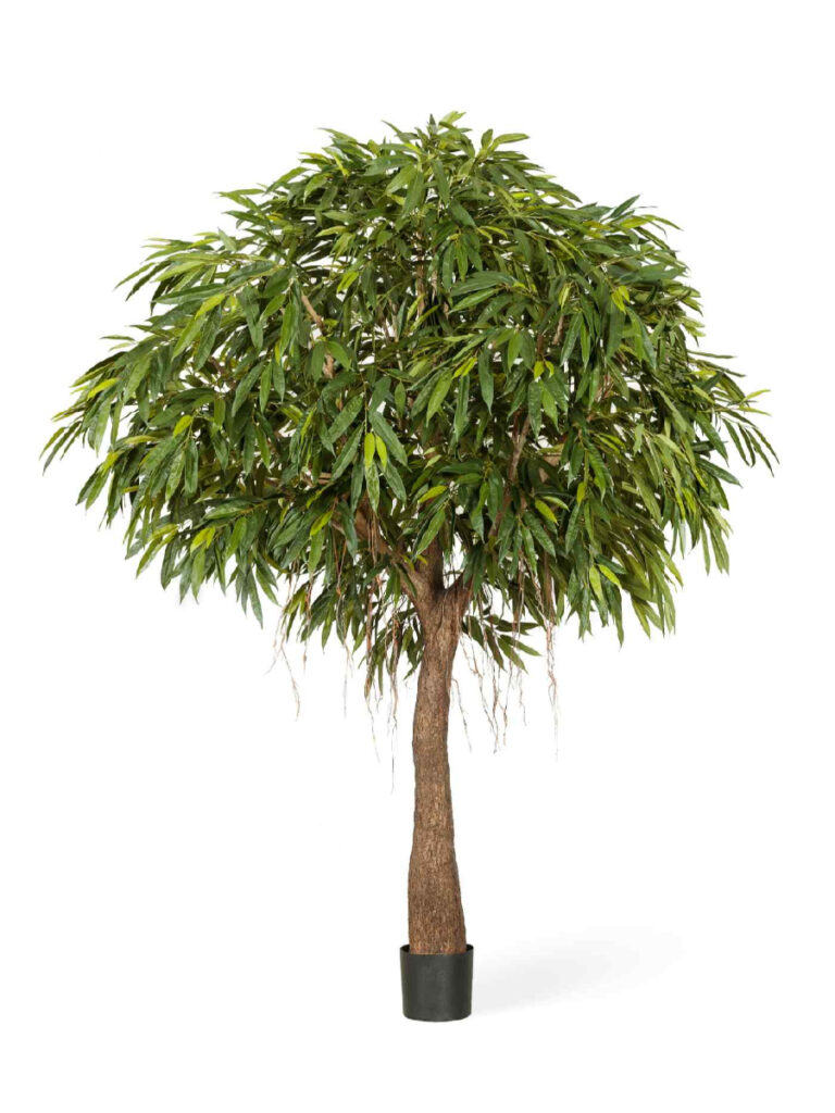 Искусственное дерево Лонгифолия Роял Кабана на толстом стволе