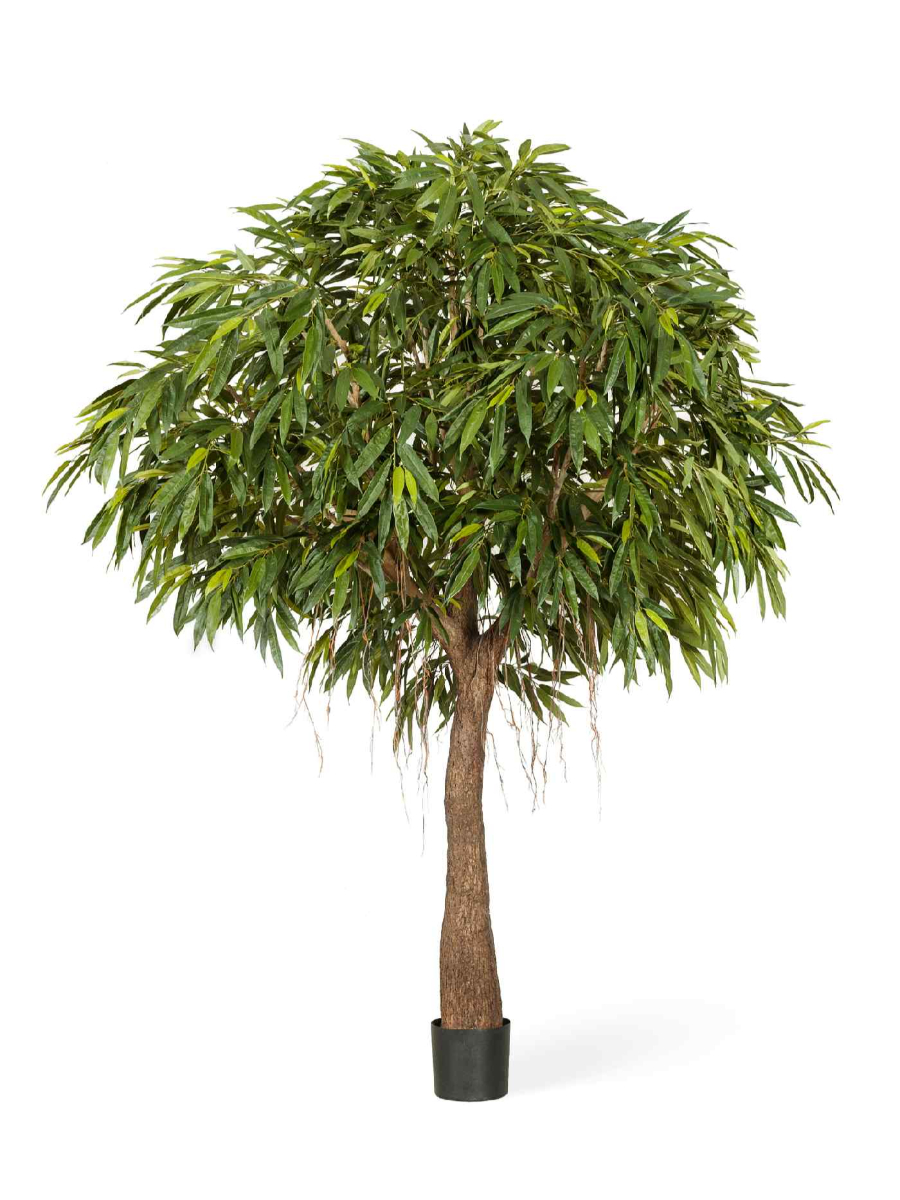 Искусственное дерево Лонгифолия Роял Кабана на толстом стволе Искусственное дерево Лонгифолия Роял Кабана на толстом стволе