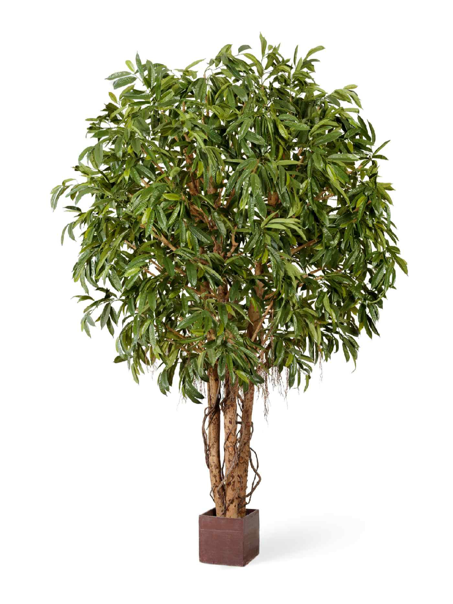 Искусственное дерево Лонгифолия широколистная Гигантская Искусственное дерево Лонгифолия широколистная Гигантская