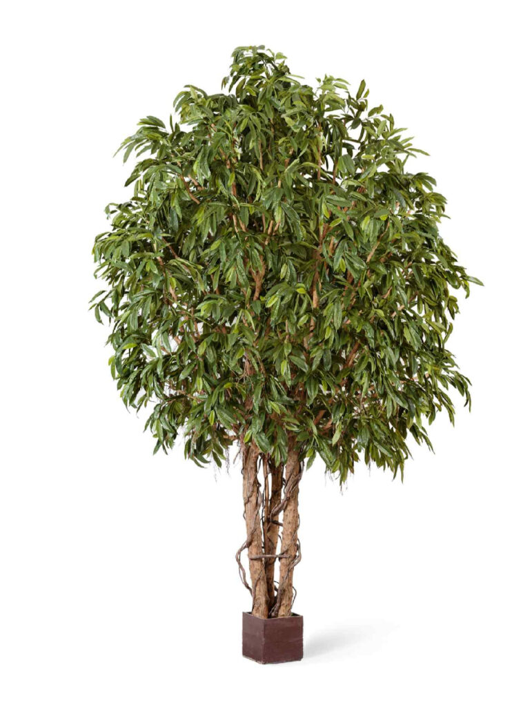 Искусственное дерево Лонгифолия широколистная Гигантская