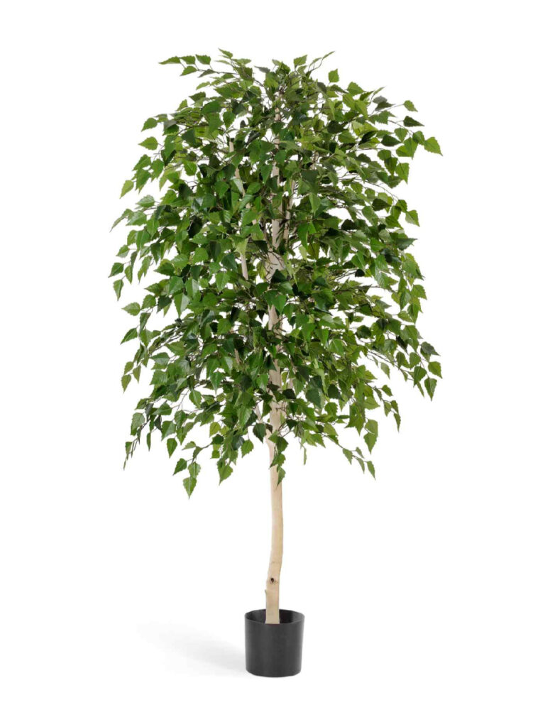 Искусственное дерево Берёза натуральная