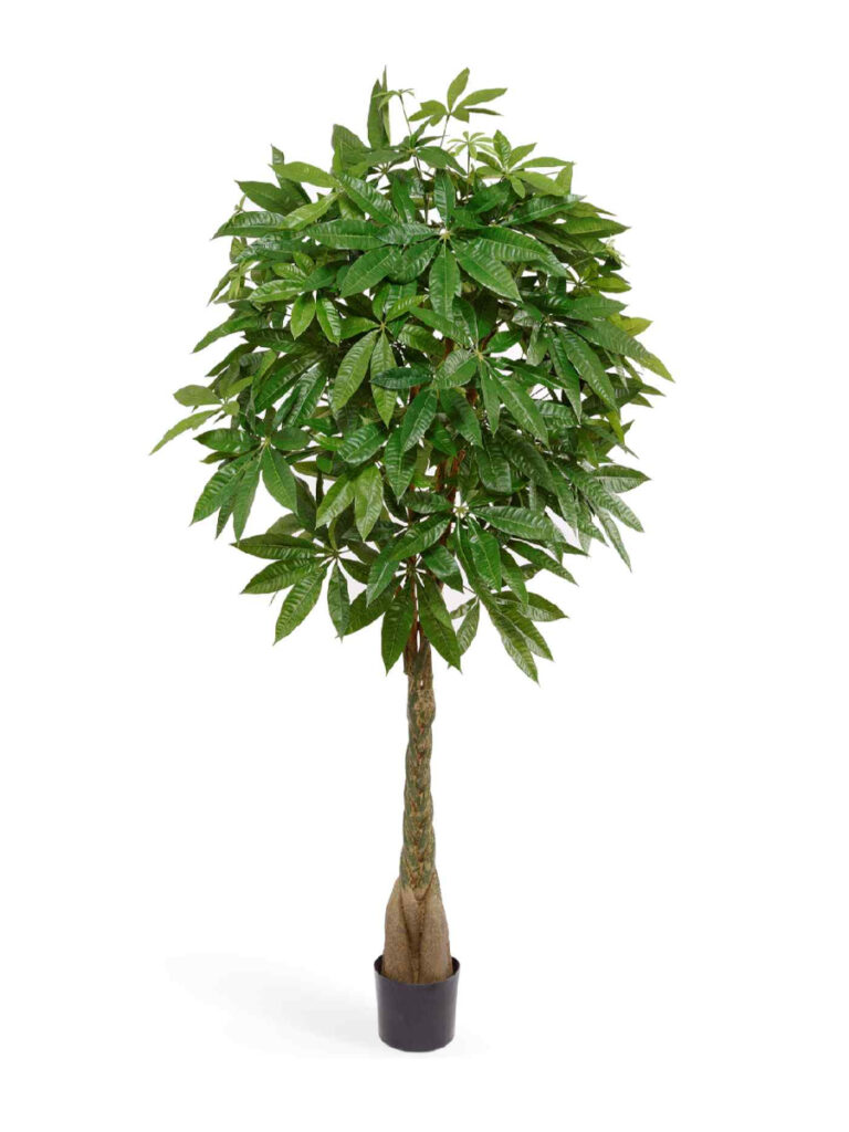 Искусственное дерево Пахира на витом стволе (косичка)