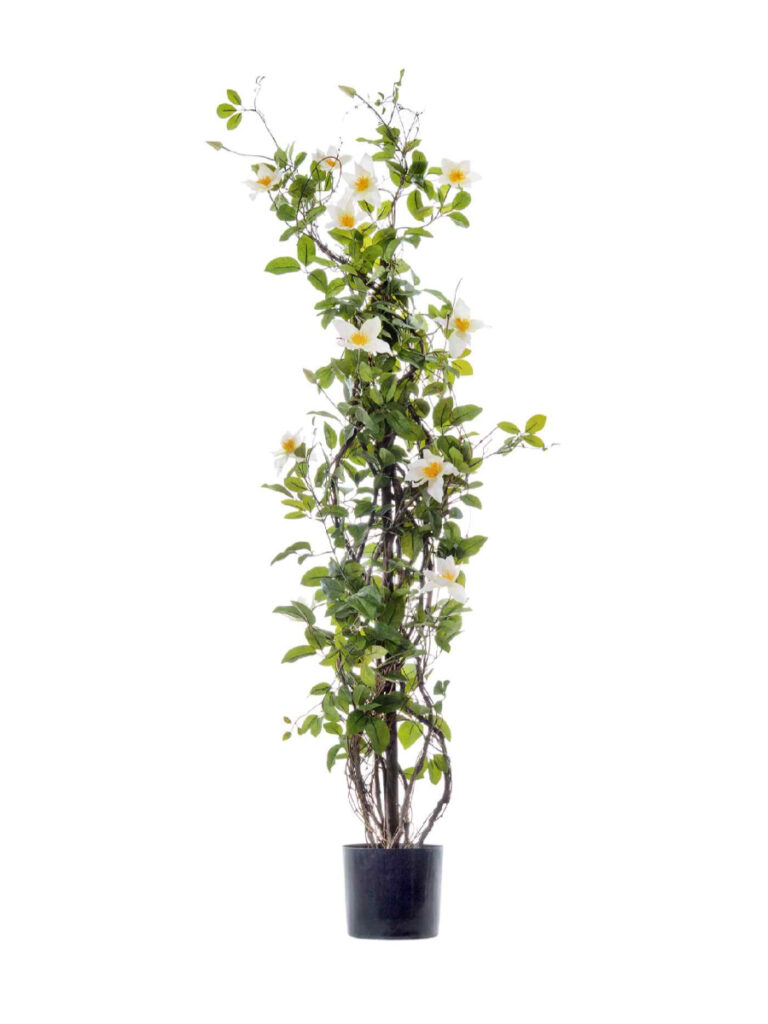 Искусственное дерево Клематис бело-розовый на лозе