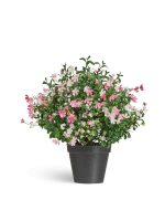 Искусственное растение Альпийское разнотравье с нежно-розовыми и белыми цветами (3 размера), Treez 20.0224072RS-M — изображение 7