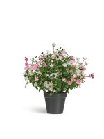 Искусственное растение Альпийское разнотравье с нежно-розовыми и белыми цветами (3 размера), Treez 20.0224072RS-M — изображение 6