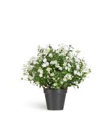 Искусственное растение Альпийское разнотравье с белыми цветами (3 размера), Treez 20.0224072WH-L — изображение 2