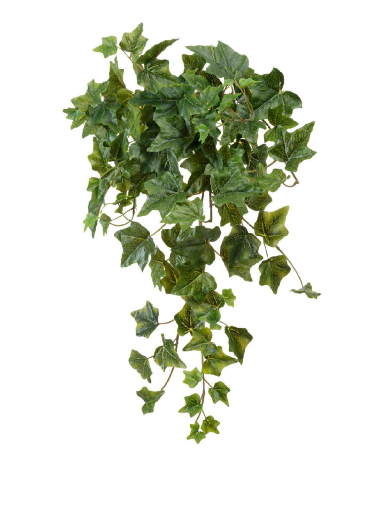 Искусственное растение Английский плющ Биг Олд Тэмпл крупнолистный зелёный
