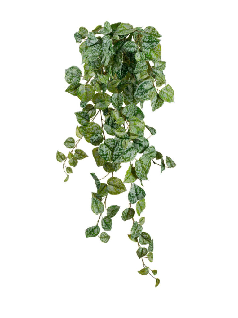 Искусственное растение Сциндапсус Пиктус серебристо-зелёный