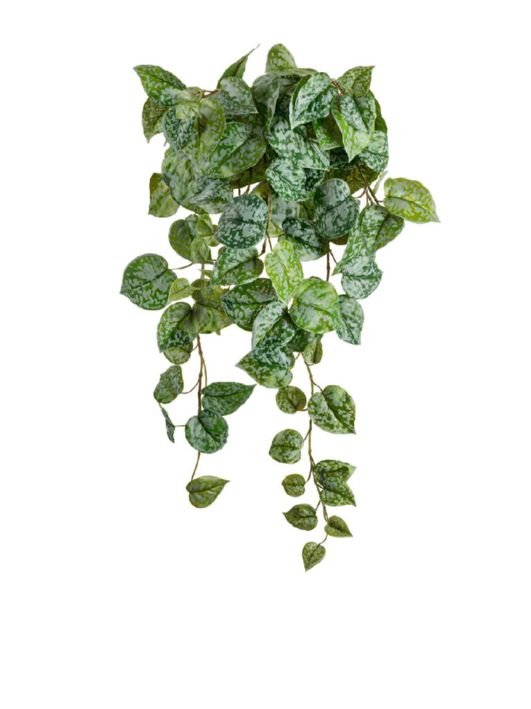 Искусственное растение Сциндапсус Пиктус серебристо-зелёный